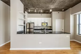 1122 W Catalpa Ave, Chicago, IL 60640 - Photo 11