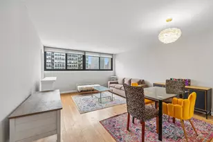 30 E Division St, Chicago, IL 60610 - Photo 19