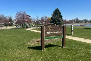 203 Parkside Ln, Oswego, IL 60543 - Photo 33