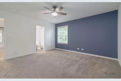 223 Delia Drive, Wauconda, IL 60084 - Photo 13