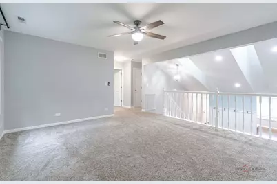 223 Delia Drive, Wauconda, IL 60084 - Photo 9
