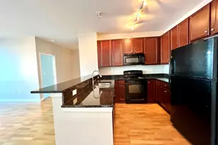 1901 S Calumet Ave, Chicago, IL 60616 - Photo 7