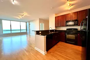 1901 S Calumet Ave, Chicago, IL 60616 - Photo 5