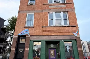 1605 S Blue Island Ave, Chicago, IL 60608 - Photo 1