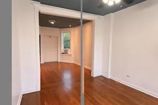 1605 S Blue Island Ave, Chicago, IL 60608 - Photo 5