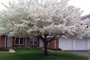 45 Willow Cir, Cary, IL 60013 - Photo 43