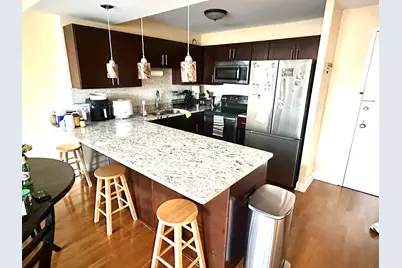 801 S Plymouth Court #306, Chicago, IL 60605 - Photo 3
