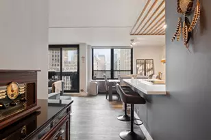 222 E Pearson St, Chicago, IL 60611 - Photo 13