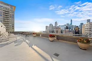222 E Pearson St, Chicago, IL 60611 - Photo 23