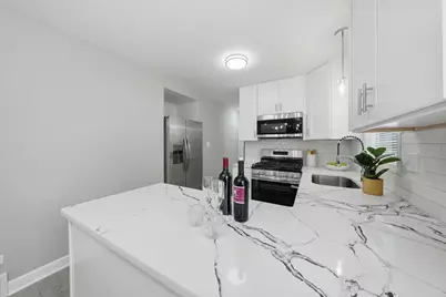 8231 S Wentworth Avenue, Chicago, IL 60620 - Photo 13