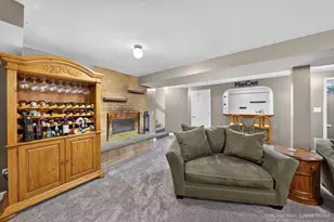 465 N Shady Oaks Dr, Elgin, IL 60120 - Photo 21