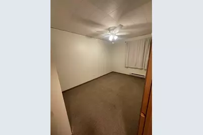 1829 S Carpenter Street #1, Chicago, IL 60608 - Photo 13