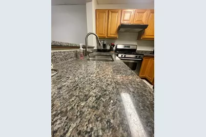1829 S Carpenter Street #1, Chicago, IL 60608 - Photo 17