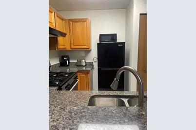 1829 S Carpenter Street #1, Chicago, IL 60608 - Photo 7