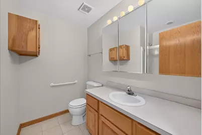 1285 Drawbridge Lane, Lemont, IL 60439 - Photo 15