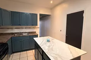 1605 S Blue Island Ave, Chicago, IL 60608 - Photo 7