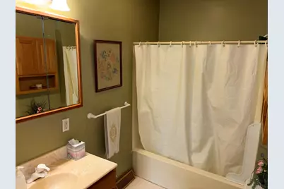 211 N Seminary Street, Downs, IL 61736 - Photo 75