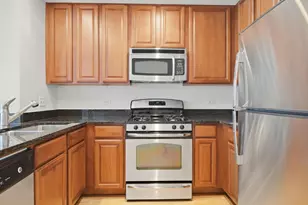 1255 S State St, Chicago, IL 60605 - Photo 9