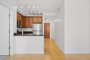 1255 S State St, Chicago, IL 60605 - Photo 7