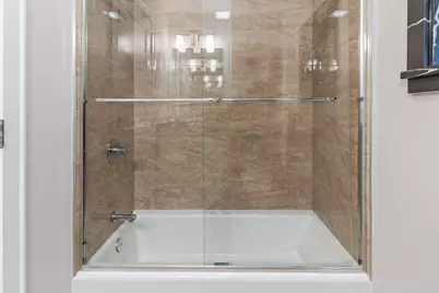 2913 S Lowe Avenue, Chicago, IL 60616 - Photo 19