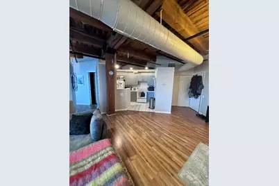 225 W Huron Street #316, Chicago, IL 60654 - Photo 7