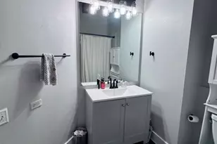 225 W Huron St, Chicago, IL 60654 - Photo 13