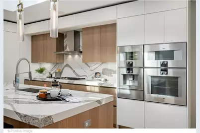 220 S Green Street #4S, Chicago, IL 60607 - Photo 3