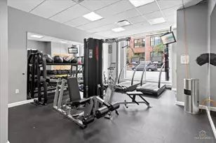 757 N Orleans St, Chicago, IL 60654 - Photo 37