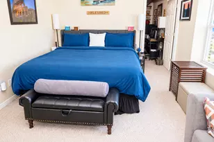 1021 E 46th St, Chicago, IL 60653 - Photo 9