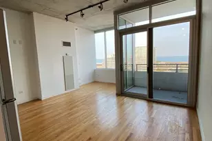 1720 S Michigan Ave, Chicago, IL 60616 - Photo 5