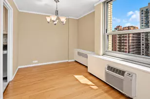 1255 N Sandburg Terrace, Chicago, IL 60610 - Photo 7