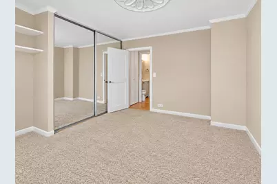 1255 N Sandburg Terrace #1202, Chicago, IL 60610 - Photo 11