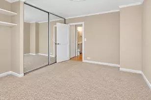 1255 N Sandburg Terrace, Chicago, IL 60610 - Photo 11