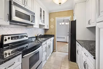 1255 N Sandburg Terrace #1202, Chicago, IL 60610 - Photo 9