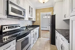 1255 N Sandburg Terrace, Chicago, IL 60610 - Photo 9