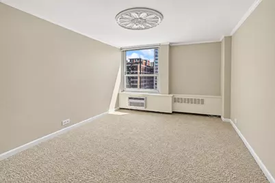 1255 N Sandburg Terrace #1202, Chicago, IL 60610 - Photo 13