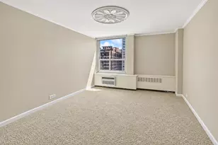 1255 N Sandburg Terrace, Chicago, IL 60610 - Photo 13