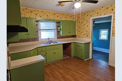 305 Fife Street, Carrier Mills, IL 62917 - Photo 11