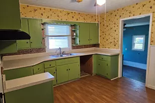 305 Fife St, Carrier Mills, IL 62917 - Photo 11