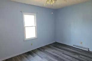 305 Fife St, Carrier Mills, IL 62917 - Photo 17