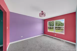 181 N Division St, Braidwood, IL 60408 - Photo 11