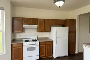 443 Autumn Dr, Beecher, IL 60401 - Photo 7