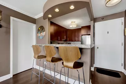 111 W Maple Street #1608, Chicago, IL 60610 - Photo 9