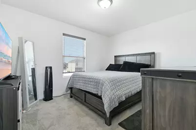20824 Dexter Street, Lynwood, IL 60411 - Photo 13