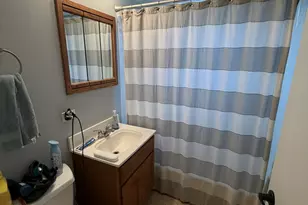 17216 67th Ct, Tinley Park, IL 60477 - Photo 15