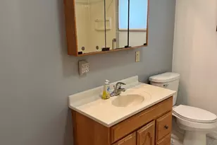 217 S Walnut St, Shannon, IL 61078 - Photo 19