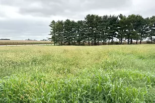 1698 E 1400 North Rd, Watseka, IL 60970 - Photo 9