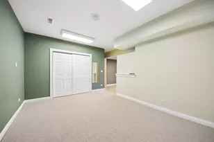 13454 Wood Duck Dr, Plainfield, IL 60585 - Photo 31