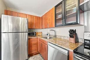 1355 N Sandburg Terrace, Chicago, IL 60610 - Photo 11