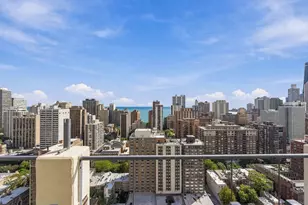 1355 N Sandburg Terrace, Chicago, IL 60610 - Photo 21